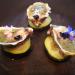 oysters 