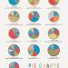 Pie Charts Print 