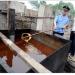 Police inspecting illegal cooking oil
