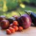 eggplant tomatoes