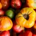 heirloom tomatoes 