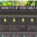 Infographic: The Benefits of Vegetable Oil