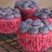 Low-Cal Red Velvet Stevia Cupcakes