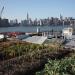 rooftop garden