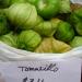 tomatillo