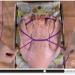 How to Truss a Turkey (Video)