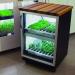 Urban Cultivator hydroponic growing system